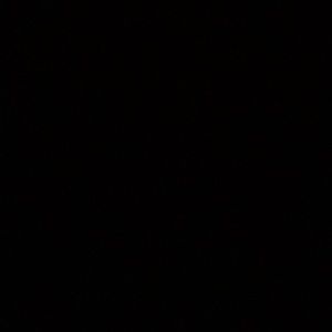 Meet your Posher, Issac